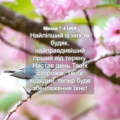 Picture 04 - Михей 7:4 UKR - Найліпший із них як будяк, - Bible Verse Picture