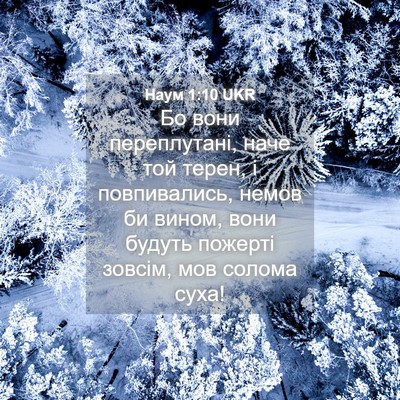 Picture 04 - Наум 1:10 UKR - Бо вони переплутані, наче - Bible Verse Picture