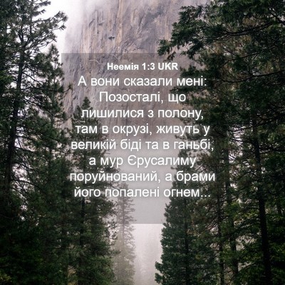 Picture 04 - Неемія 1:3 UKR - А вони сказали мені: - Bible Verse Picture