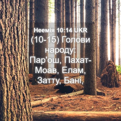Picture 04 - Неемія 10:14 UKR - (10-15) Голови народу: Пар'ош, - Bible Verse Picture