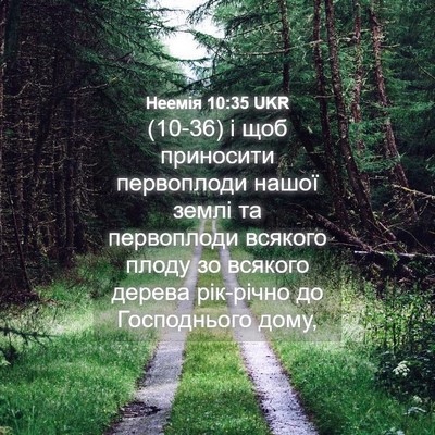 Picture 04 - Неемія 10:35 UKR - (10-36) і щоб приносити - Bible Verse Picture