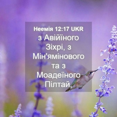 Picture 04 - Неемія 12:17 UKR - з Авійїного Зіхрі, з - Bible Verse Picture