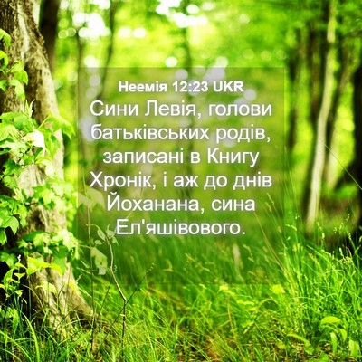 Picture 04 - Неемія 12:23 UKR - Сини Левія, голови - Bible Verse Picture