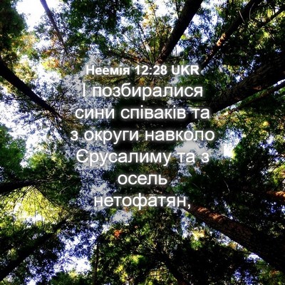 Picture 04 - Неемія 12:28 UKR - І позбиралися сини - Bible Verse Picture