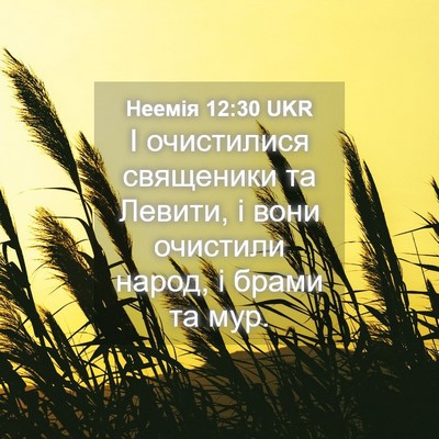 Picture 04 - Неемія 12:30 UKR - І очистилися священики та - Bible Verse Picture