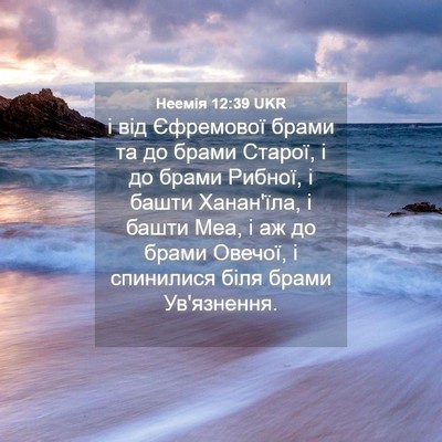 Picture 04 - Неемія 12:39 UKR - і від Єфремової брами та до - Bible Verse Picture