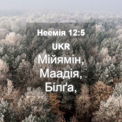 Picture 04 - Неемія 12:5 UKR - Мійямін, Маадія, - Bible Verse Picture