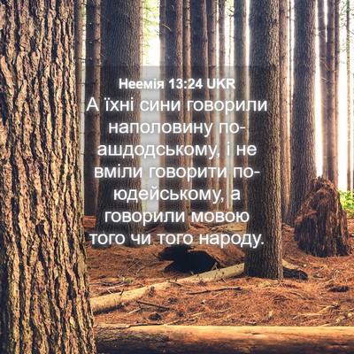 Picture 04 - Неемія 13:24 UKR - А їхні сини говорили - Bible Verse Picture