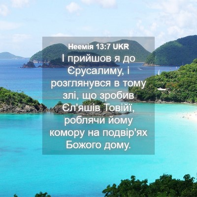 Picture 04 - Неемія 13:7 UKR - І прийшов я до Єрусалиму, і - Bible Verse Picture