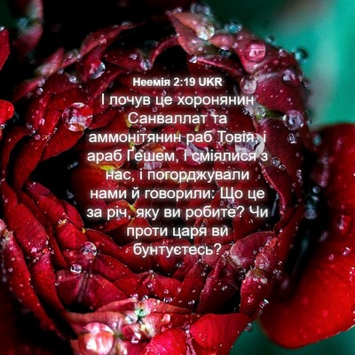 Picture 04 - Неемія 2:19 UKR - І почув це хоронянин - Bible Verse Picture