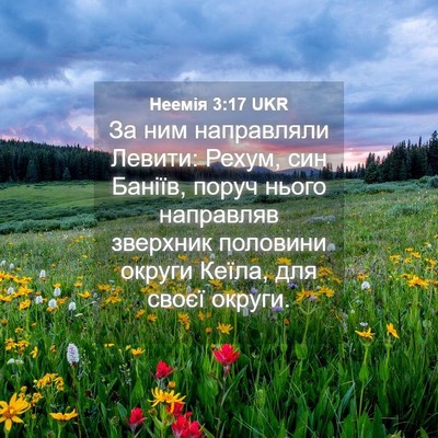 Picture 04 - Неемія 3:17 UKR - За ним направляли Левити: - Bible Verse Picture