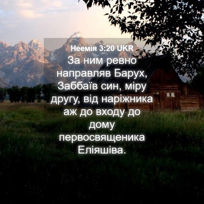 Picture 04 - Неемія 3:20 UKR - За ним ревно направляв - Bible Verse Picture