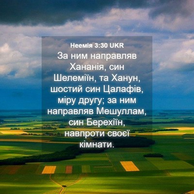 Picture 04 - Неемія 3:30 UKR - За ним направляв Хананія, - Bible Verse Picture