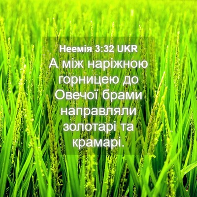 Picture 04 - Неемія 3:32 UKR - А між наріжною горницею до - Bible Verse Picture