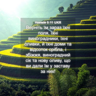 Picture 04 - Неемія 5:11 UKR - Верніть їм зараз їхні поля, - Bible Verse Picture
