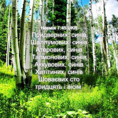 Picture 04 - Неемія 7:45 UKR - Придверних: синів - Bible Verse Picture
