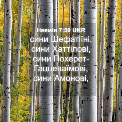 Picture 04 - Неемія 7:59 UKR - сини Шефатіїні, сини - Bible Verse Picture