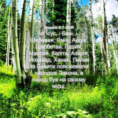 Picture 04 - Неемія 8:7 UKR - А Ісус, і Бані, і Шеревея, - Bible Verse Picture