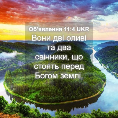 Picture 04 - Об'явлення 11:4 UKR - Вони дві оливі та два - Bible Verse Picture