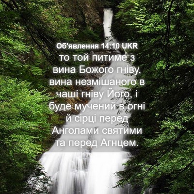 Picture 04 - Об'явлення 14:10 UKR - то той питиме з вина Божого - Bible Verse Picture