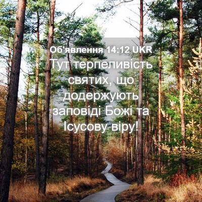 Picture 04 - Об'явлення 14:12 UKR - Тут терпеливість святих, - Bible Verse Picture
