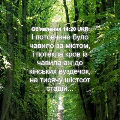 Picture 04 - Об'явлення 14:20 UKR - І потовчене було чавило за - Bible Verse Picture