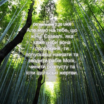 Picture 04 - Об'явлення 2:20 UKR - Але маю на тебе, що жінці - Bible Verse Picture