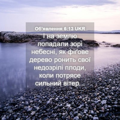 Picture 04 - Об'явлення 6:13 UKR - І на землю попадали зорі - Bible Verse Picture