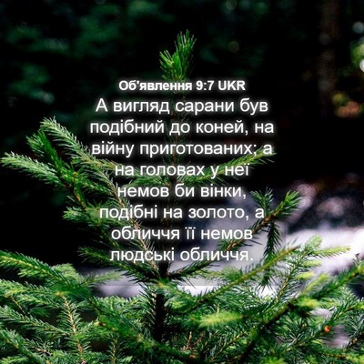 Picture 04 - Об'явлення 9:7 UKR - А вигляд сарани був - Bible Verse Picture