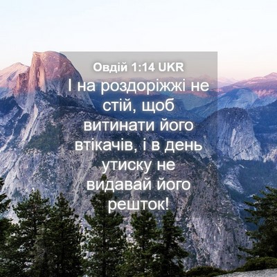 Picture 04 - Овдій 1:14 UKR - І на роздоріжжі не стій, - Bible Verse Picture