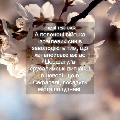 Picture 04 - Овдій 1:20 UKR - А полонені війська - Bible Verse Picture