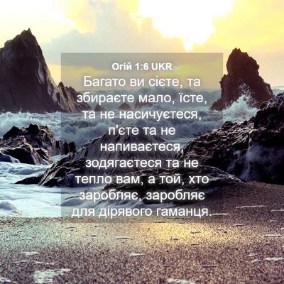 Picture 04 - Огій 1:6 UKR - Багато ви сієте, та - Bible Verse Picture