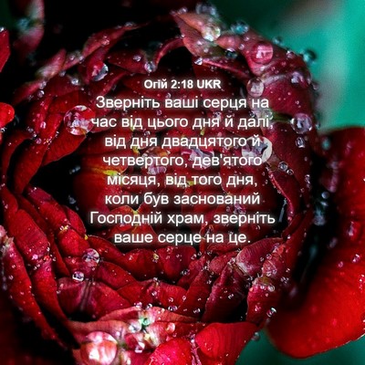 Picture 04 - Огій 2:18 UKR - Зверніть ваші серця на час - Bible Verse Picture