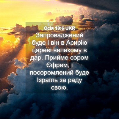 Picture 04 - Осія 10:6 UKR - Запроваджений буде і він в - Bible Verse Picture