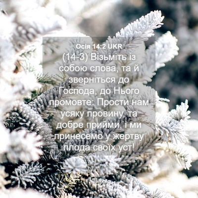 Picture 04 - Осія 14:2 UKR - (14-3) Візьміть із собою - Bible Verse Picture