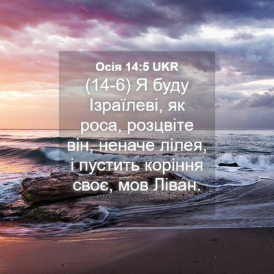 Picture 04 - Осія 14:5 UKR - (14-6) Я буду Ізраїлеві, як - Bible Verse Picture
