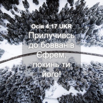 Picture 04 - Осія 4:17 UKR - Прилучивсь до бовванів - Bible Verse Picture