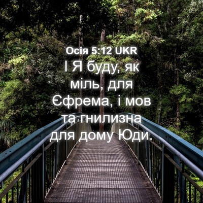 Picture 04 - Осія 5:12 UKR - І Я буду, як міль, для - Bible Verse Picture