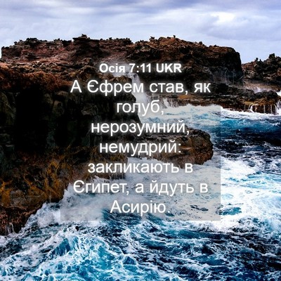 Picture 04 - Осія 7:11 UKR - А Єфрем став, як голуб, - Bible Verse Picture