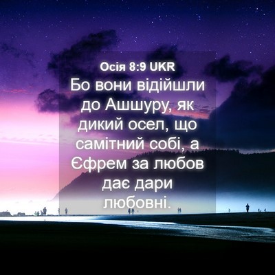 Picture 04 - Осія 8:9 UKR - Бо вони відійшли до Ашшуру, - Bible Verse Picture