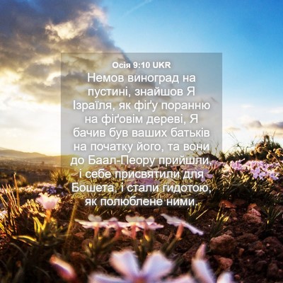 Picture 04 - Осія 9:10 UKR - Немов виноград на пустині, - Bible Verse Picture