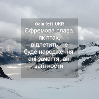 Picture 04 - Осія 9:11 UKR - Єфремова слава, як птах, - Bible Verse Picture