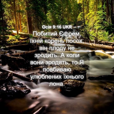 Picture 04 - Осія 9:16 UKR - Побитий Єфрем, їхній - Bible Verse Picture