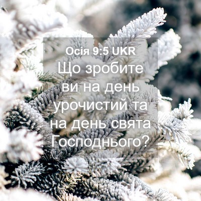 Picture 04 - Осія 9:5 UKR - Що зробите ви на день - Bible Verse Picture