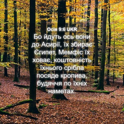 Picture 04 - Осія 9:6 UKR - Бо йдуть ось вони до - Bible Verse Picture