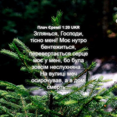 Picture 04 - Плач Єремії 1:20 UKR - Зглянься, Господи, тісно - Bible Verse Picture