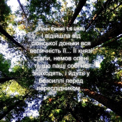 Picture 04 - Плач Єремії 1:6 UKR - І відійшла від сіонської - Bible Verse Picture