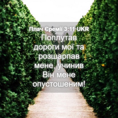 Picture 04 - Плач Єремії 3:11 UKR - Поплутав дороги мої та - Bible Verse Picture