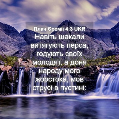 Picture 04 - Плач Єремії 4:3 UKR - Навіть шакали витягують - Bible Verse Picture