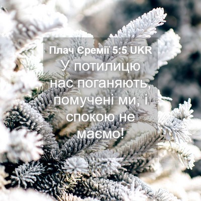 Picture 04 - Плач Єремії 5:5 UKR - У потилицю нас поганяють, - Bible Verse Picture